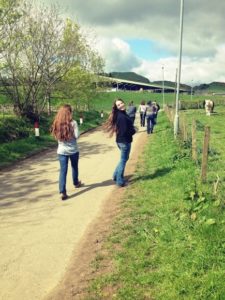 equine-summer-walking-scotland