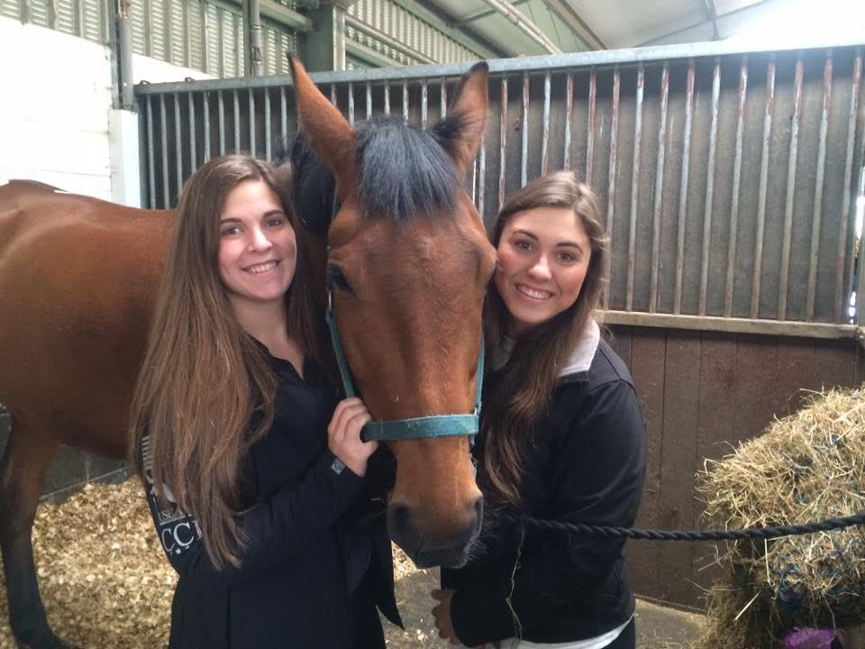 Equine Studies in Scotland | Adelante Abroad